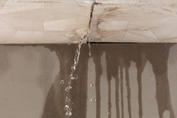 Professional Burst Pipe Cleanup technician working in Hamilton, IL